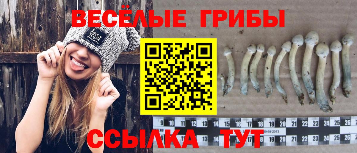 Псилоцибиновые грибы GOLDEN TEACHER  Вход с VPN  Губкин  Галлюциногенные грибы ЛСД 