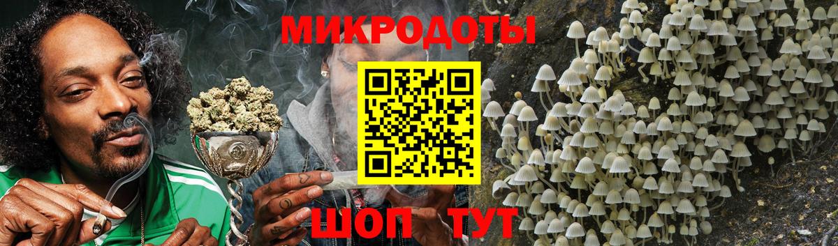 Галлюциногенные грибы ЛСД Губкин